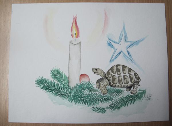 Aquarell Malerei "Erster Advent mit Schildkröte"